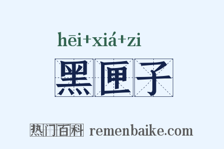 黑匣子是什么意思的图片